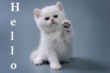 Hello :hello1 :hello1