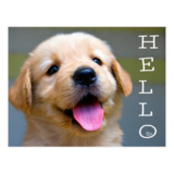 :hello